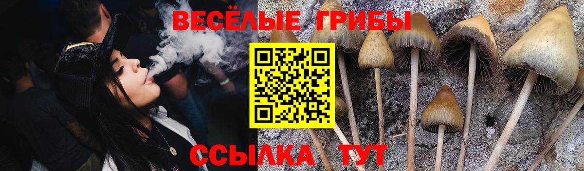 Галлюциногенные грибы Psilocybine cubensis Невинномысск